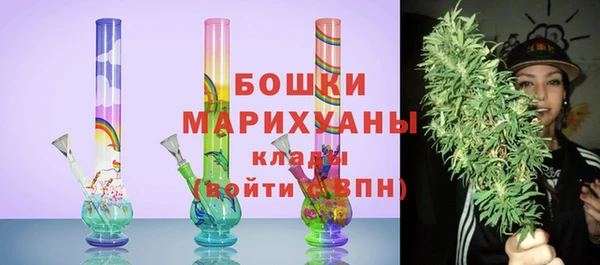 гашик Верея