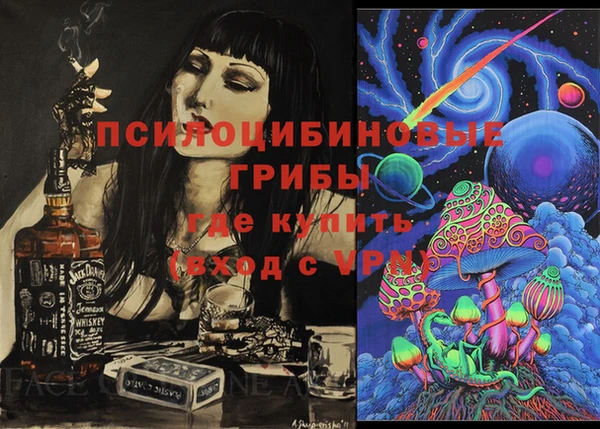 ECSTASY Пестово