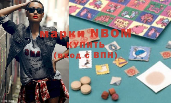 гашик Верея