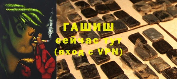 гашик Верея